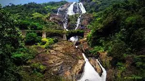 Dudhasagar Waterfalls
